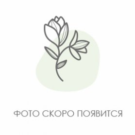 Сборный букет «Нежное признание» от интернет-магазина «Муза» в Радужном